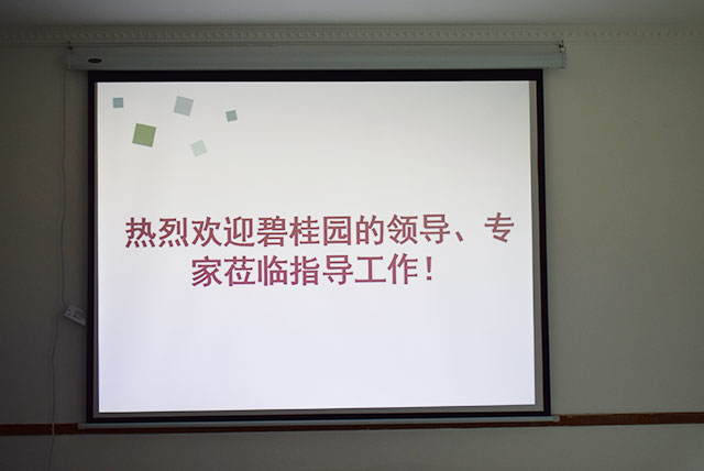 碧桂園領(lǐng)導(dǎo)、專家蒞臨德國(guó)CUALI磚麗指導(dǎo)工作